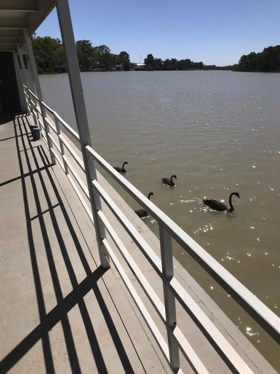 Murray River Queen Hotel เรนมาร์ค ภายนอก รูปภาพ